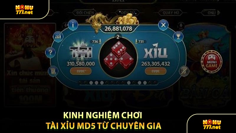 Kinh Nghiệm Chơi Tài Xỉu MD5 Từ Chuyên Gia