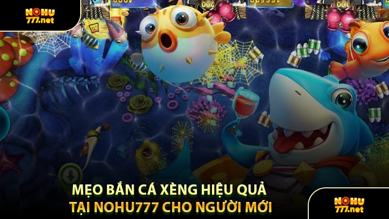 Mẹo Bắn Cá Xèng Hiệu Quả Tại NOHU777 Cho Người Mới