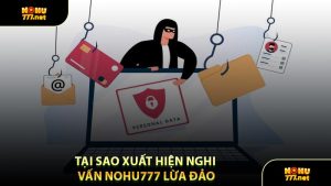 Tại Sao Xuất Hiện Nghi Vấn Nohu777 Lừa Đảo