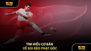 Tìm Hiểu Cơ Bản Về Soi Kèo Phạt Góc